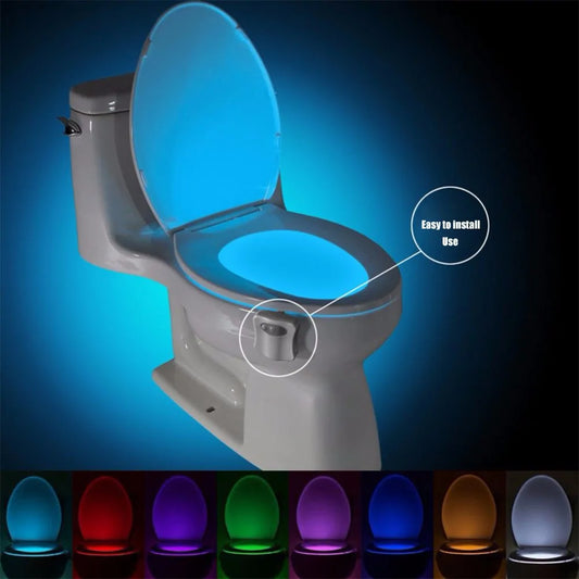 Nightglow Motion Toilet Light