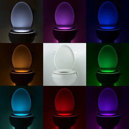 Nightglow Motion Toilet Light