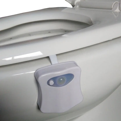 Nightglow Motion Toilet Light