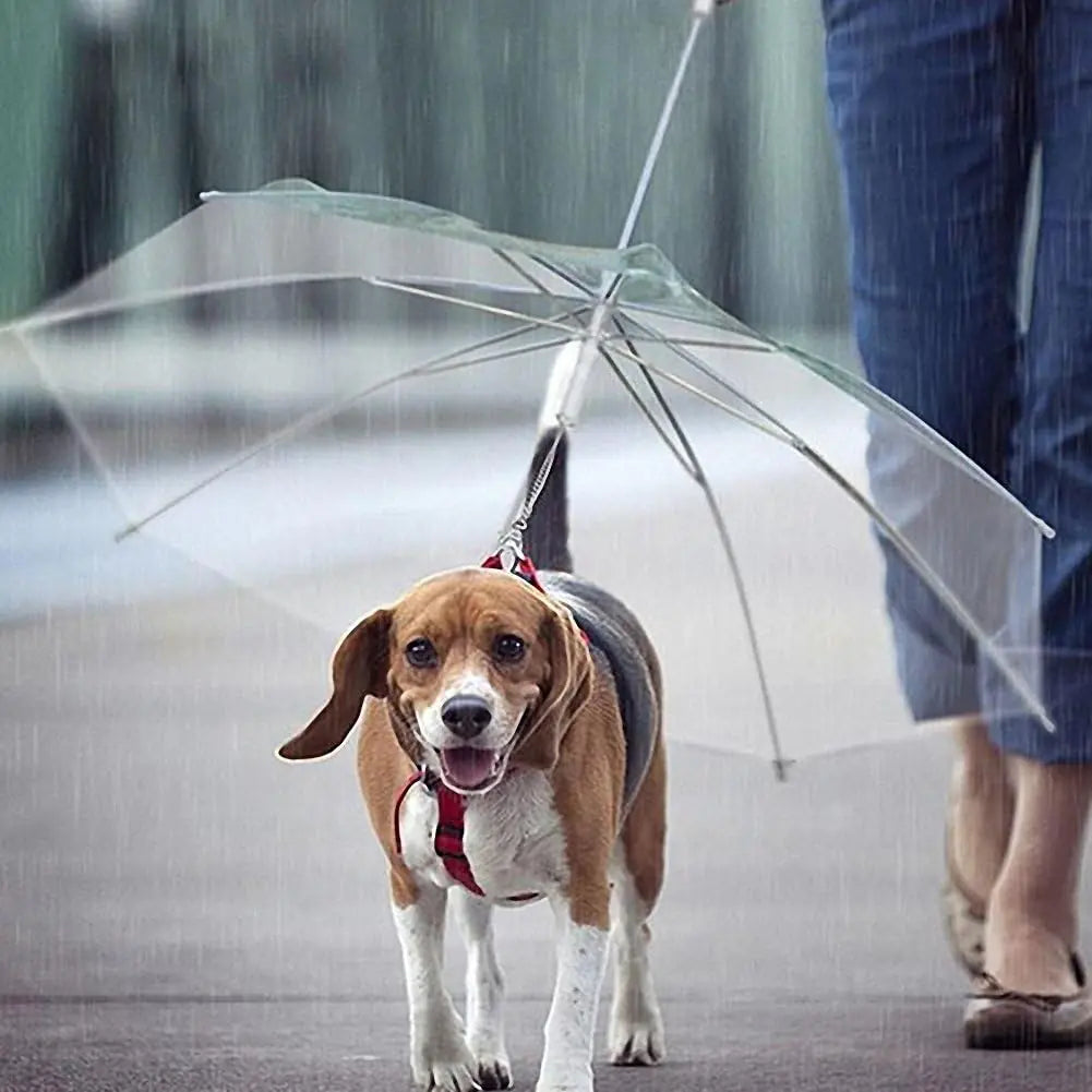 Puppy Weatherproof Leash