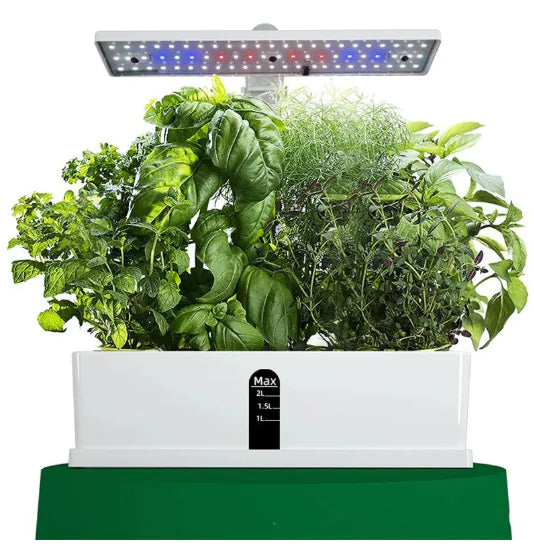 Smart Hydroponic Planter