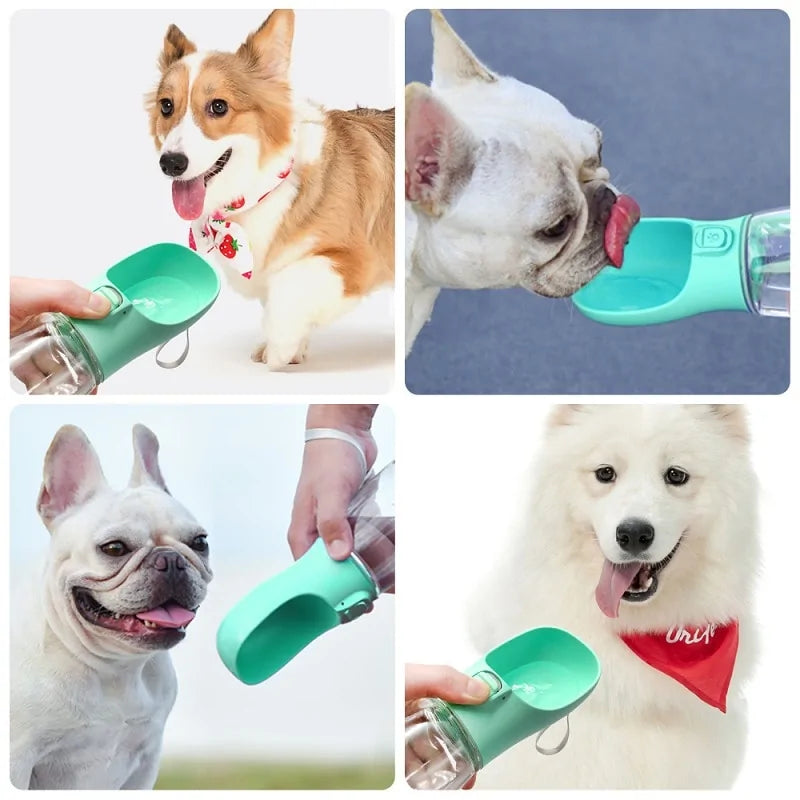 Portable Pet Bottle